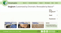 Desktop Screenshot of chromatininc.com