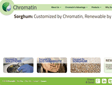 Tablet Screenshot of chromatininc.com